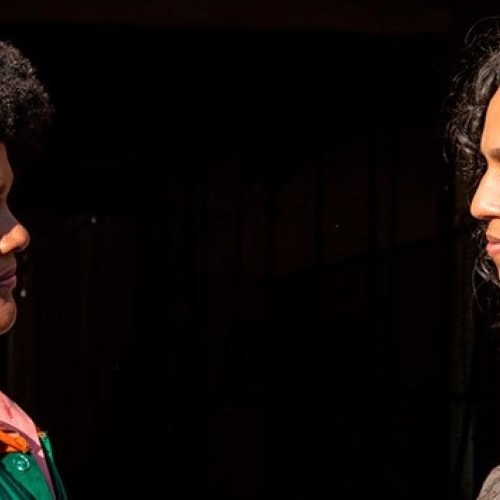 Cineclube Estação exibe o filme Suçuarana em Barra do Piraí